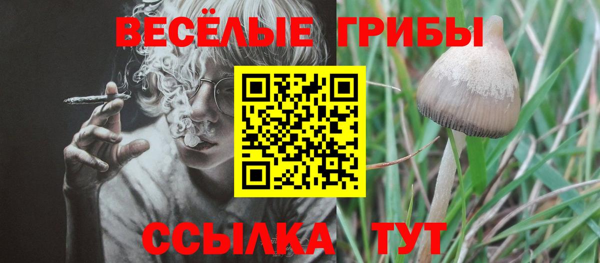 Галлюциногенные грибы прущие грибы  Вход с VPN  Кашира 